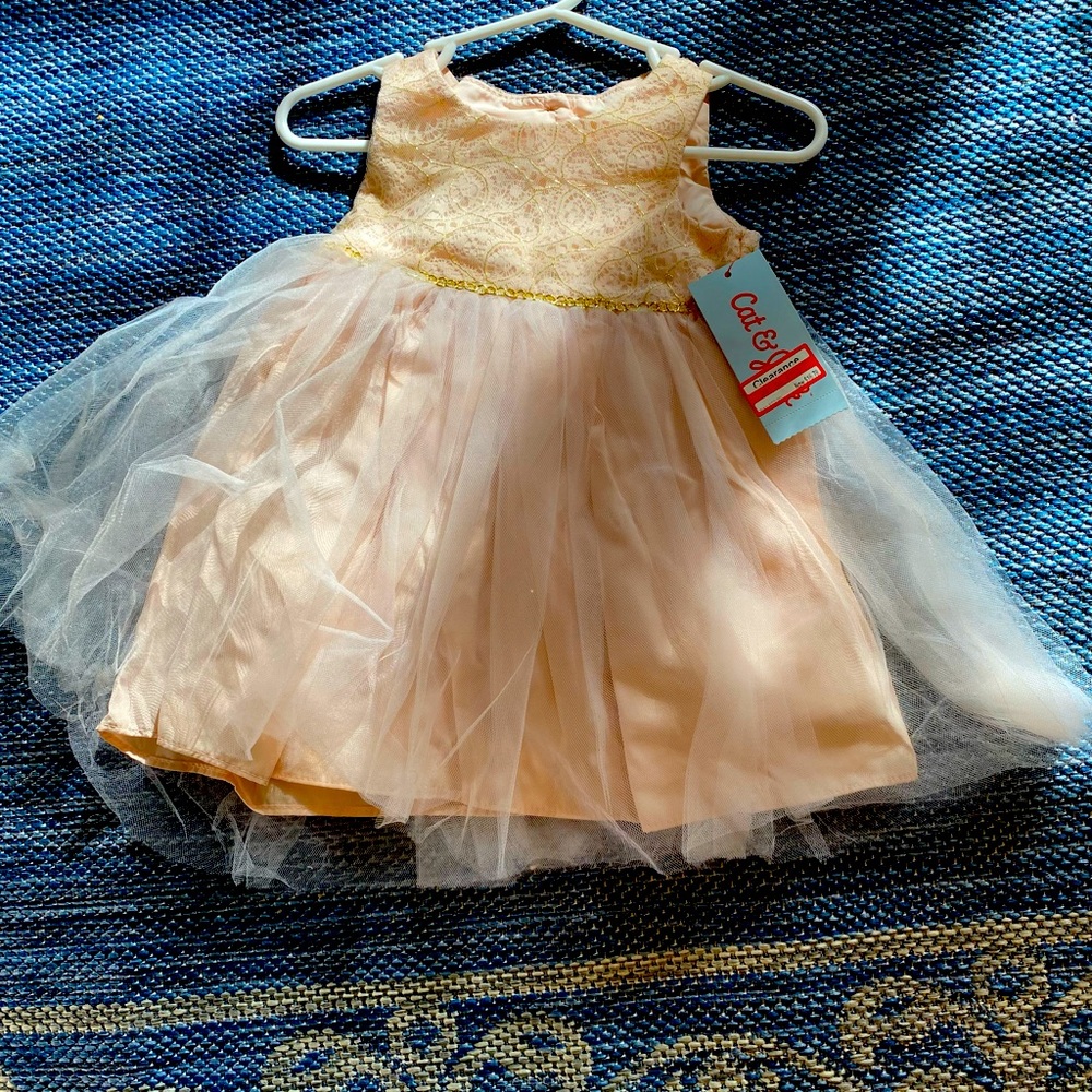 Gorgeous & Beautifully detailed fancy dress with gold detailed design